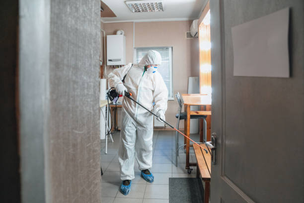 Best Mold Removal for HVAC Installations  in Cleveland, AL