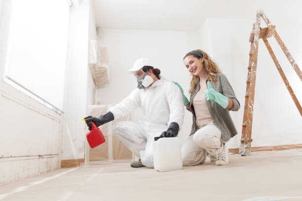 Best Water Damage & Mold Remediation  in Cleveland, AL